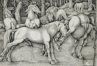  - Hans Baldung Grien