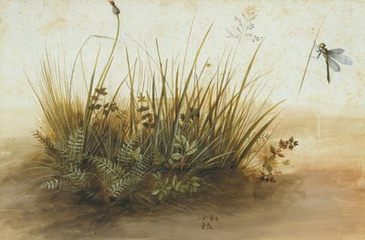 Un Petit Morceau de Gazon, 1584 - Hans Hoffmann