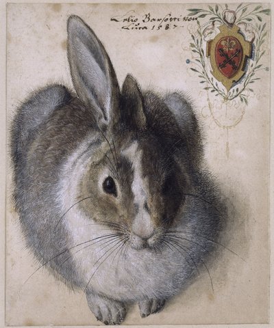 French : Un lièvre couché, vu de face, avec un blason - Hans Hoffmann
