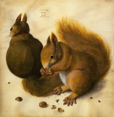 Deux écureuils, l