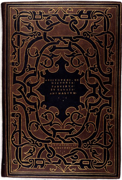 Reliure de la collection « Aristotelis et Theophrasti historias » dessinée par Hans Holbein le Jeune (1497-1543) - Hans Holbein der Jüngere