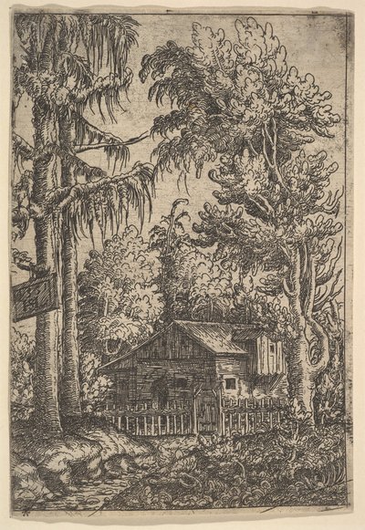 Cabane parmi les Arbres, 1551 - Hans Sebald Lautensack