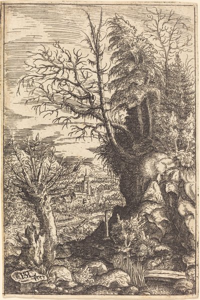 Paysage avec un saule, 1553 - Hans Sebald Lautensack