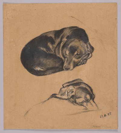 Zwei Studien eines schlafenden Dackels - Hans Thoma