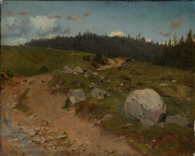 Chemin caillouteux à l