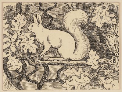 Illustration tirée du manuel d