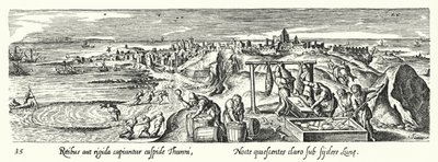 Attraper, nettoyer, cuisiner et stocker le thon - Hans after Bol