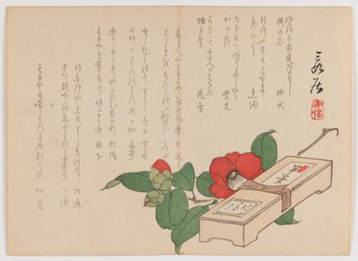 Camélia avec boîte de sucreries (Yokan), vers 1860 - Hanzan Matsukawa