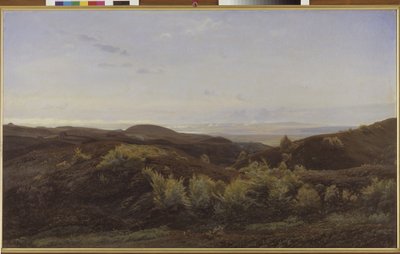 Collines de bruyère près de Rye, Jutland - Harald Foss