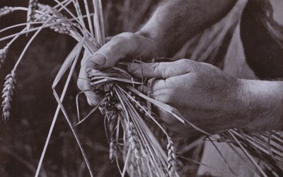 Fabrication de bandes de paille - Harold Burdekin