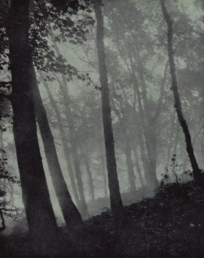 ... allées voûtées de bosquets crépusculaires et ombres brunes ... de pins, ou chêne monumental, Milton - Harold Burdekin
