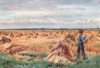 Le long des champs de blé du Manitoba - Harold Copping