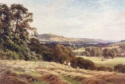 Un champ de foin, Wonersh - Harold Sutton Palmer