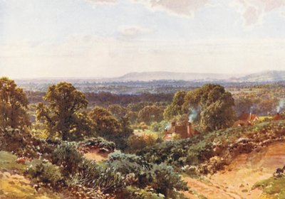 Dunes de sable, en direction de Blackdown - Harold Sutton Palmer