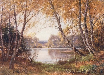Le Bord de l