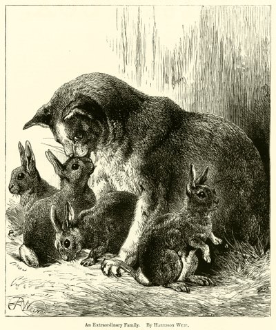 Une famille extraordinaire - Harrison William Weir