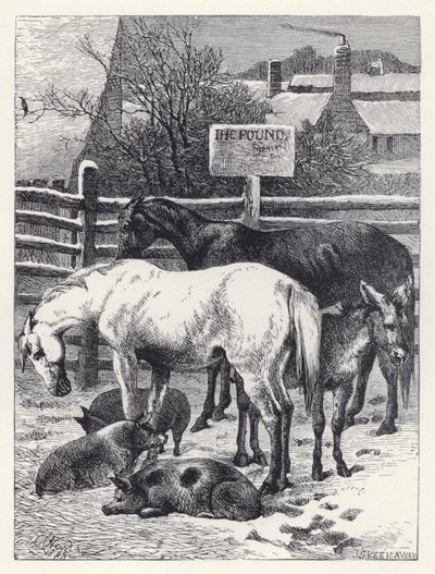 Animaux dans la fourrière - Harrison William Weir