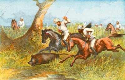 Sanglier - 