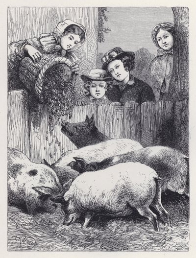 Nourrir les cochons - Harrison William Weir