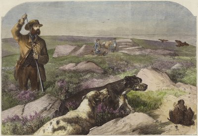 Chasse au tétras - Harrison William Weir