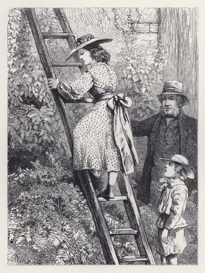 Harriet espionne le nid des rouges-gorges (gravure) - Harrison William Weir