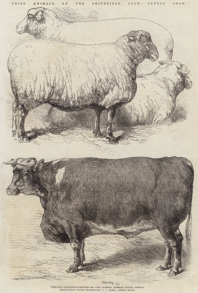 Animaux primés au Salon du bétail du Smithfield Club - Harrison William Weir