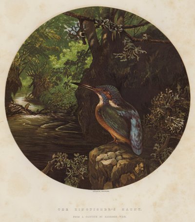 Le Repaire du Martin-pêcheur - Harrison William Weir