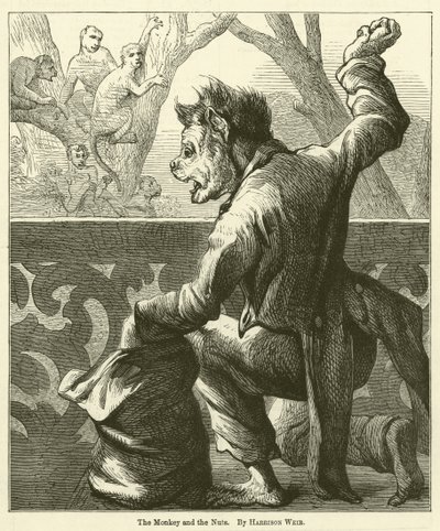 Le singe et les noix - Harrison William Weir