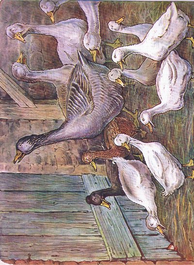 Pourquoi je déclare, 1920 - Harry B Neilson