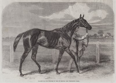 Caller Ou, le gagnant du St Leger - Harry Hall
