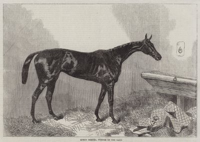 Reine Bertha, gagnante des Oaks - Harry Hall