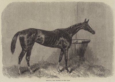 Regalia, le Vainqueur des Oaks - Harry Hall