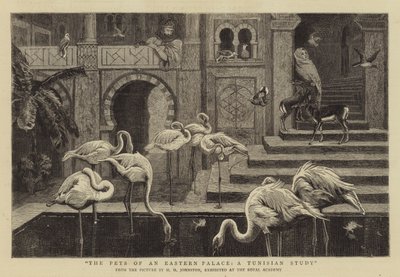Les animaux de compagnie d