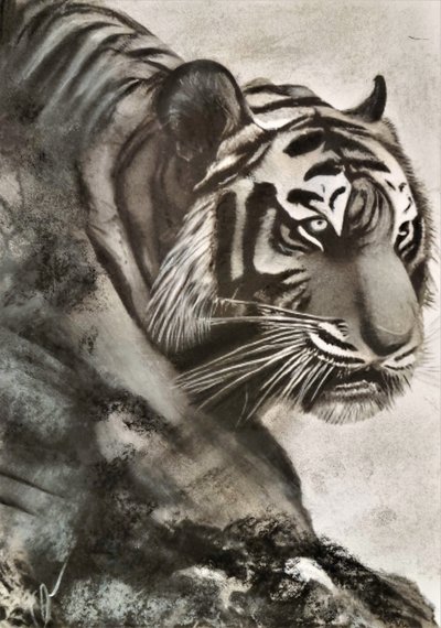 Tigre à la chasse - HaskellArt