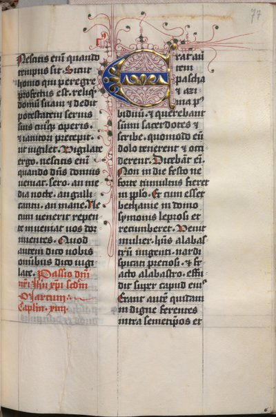 Livre des Évangiles avec Portraits des Évangélistes : Initiale décorée - Hausbuch Master
