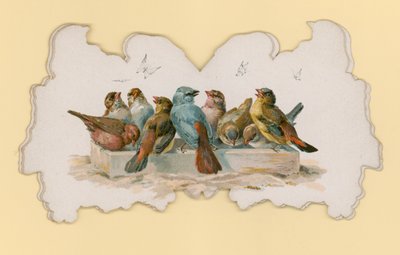 Oiseaux (lithographie en couleur) - Hector Giacomelli