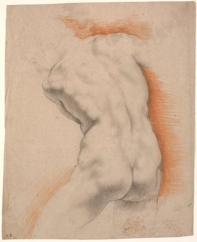 Modèle masculin courbé vers la gauche, vu de dos - Heinrich Dittmers