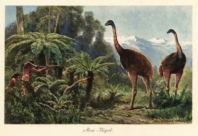 Oiseaux moa chassés par des hommes avec des arcs et des flèches - Heinrich Harder