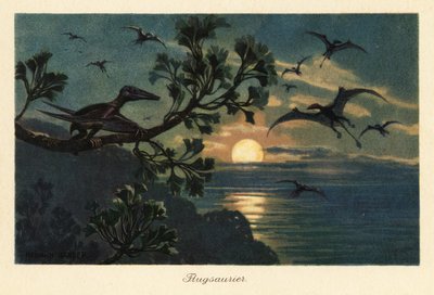 Rhamphorhynchus ptérosaures volant au clair de lune - Heinrich Harder