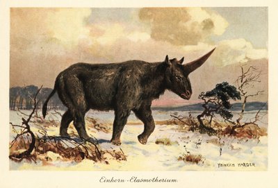 Licorne sibérienne, Elasmotherium sibiricum, sur une plaine enneigée - Heinrich Harder