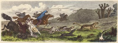 Chasse au puma avec des lassos au Brésil (gravure en couleur) - Heinrich Leutemann