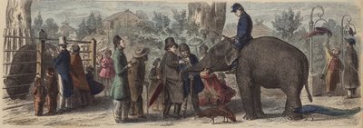Dans un jardin zoologique en Allemagne - Heinrich Leutemann