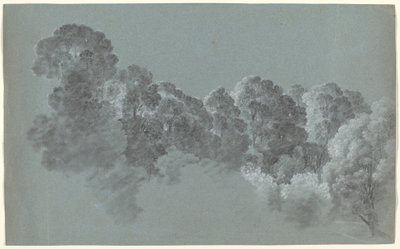 Cimes des arbres de la forêt frappées par la lumière - Heinrich Rieter
