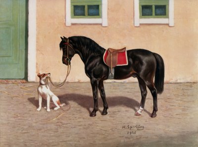 Cheval noir / d
