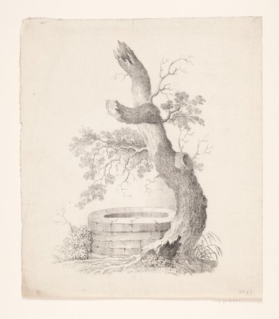 Un vieil arbre près d