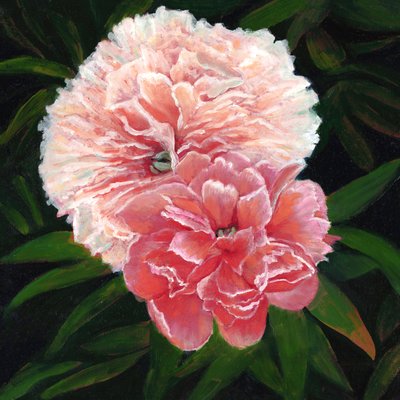 Magdalen College Peonies, 2023 (huile sur toile) - Helen White