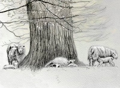 Shady Tree, 2022 - Helen White
