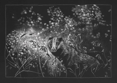 Blaireau de printemps, 2023 - Helen White