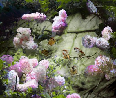 Moineaux de printemps - Helen White