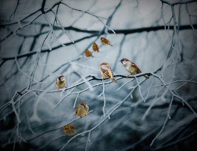 Teeming with Life - Helen White